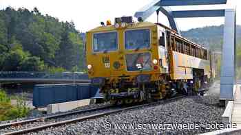 „Da geht die Kinnlade runter“: So reagierten die Räte in Calw auf den Kosten-Schock der Hesse-Bahn