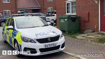 Girl recovering well after 'dangerous' dog attack