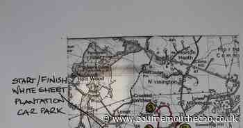 Holt Heath Dorset 4 mile walk taking in Bronze Age landmark