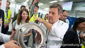 BDI-Präsident bezeichnet Habecks Kraftwerkpläne als „Running Gag“