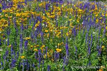 Overwegend droog weekendweer, volgende week zomer