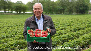 DWN-Interview: „Die 4-Tage-Woche kann sich unsere Volkswirtschaft nicht leisten“