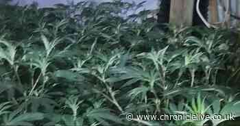 Underground drugs network discovered through secret trap door in Gateshead property