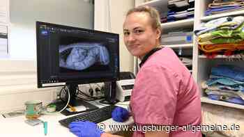 Zu Besuch in der Tierklinik Gessertshausen