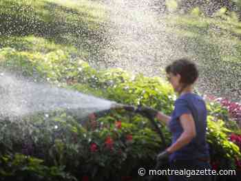Montreal weather: Hot as humidity begins to creep back into the picture