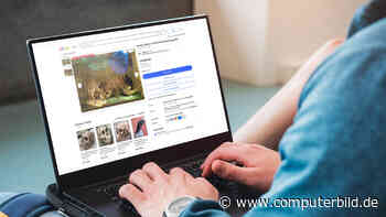 Wollnashorn-Skelett: Seltenes Museumsstück jetzt auf Ebay ergattern