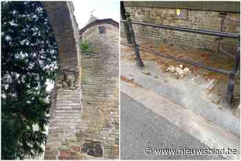 Schade aan historische Westpoort door aanrijding