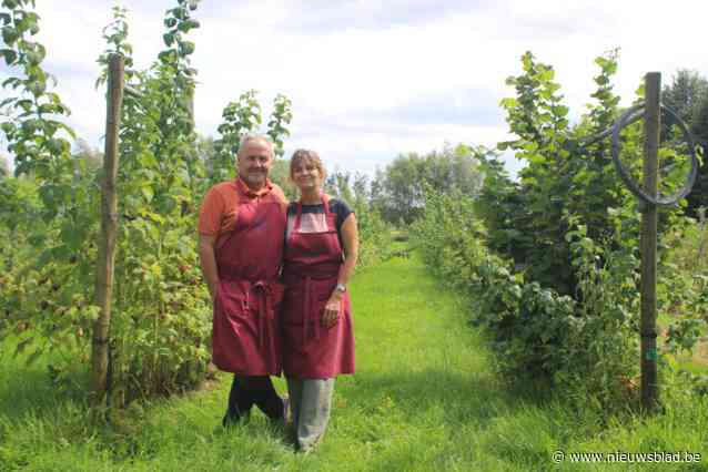 Eerste zelfpluktuin van het land bestaat twintig jaar: “De werkelijkheid is nog mooier uitgedraaid dan waar we van droomden”