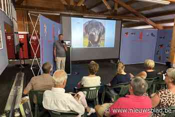 Enthousiaste hondeneigenaars volgen EHBO-cursus om hun dier te kunnen helpen
