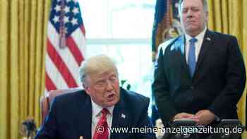 „Krieg endet sofort“: Ex-Minister prognostiziert Trumps „Friedensplan“ für die Ukraine