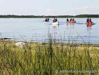 Blue-green algae alert for Hastings Lake east of Edmonton