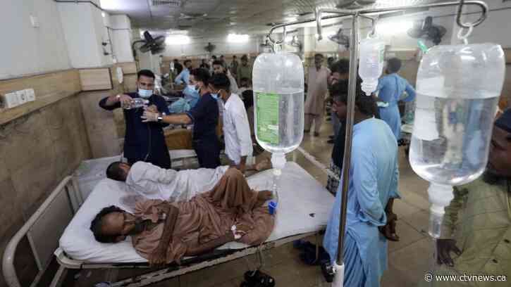 Life and death in the heat. What it feels like when Earth's temperatures soar to record highs