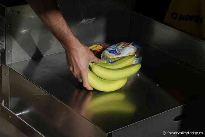 Farmers’ markets and business groups feuding with Loblaws after disparaging text ad