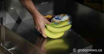 Farmers’ markets, business groups feuding with Loblaws over disparaging text ad