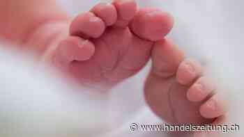 Busse von 495 Millionen Dollar für US-Babymilchhersteller Abbott