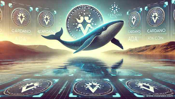Cardano Recovery Imminent? Whales Make Their Move With 17 Billion ADA