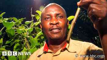 The Kenyan enthralled by the healing power of plants
