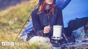 Campers and dogs cause problems at beauty spot