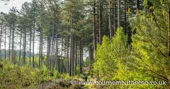 Pennyfarthing Homes to open new SANG in Alderholt