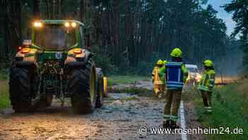 Umgestürzte Bäume, vollgelaufene Keller: Schwere Unwetter sorgen für Chaos in Bayern