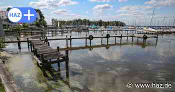 Blaualgen-Warnung in der Region Hannover: Die Lage in den Badeseen