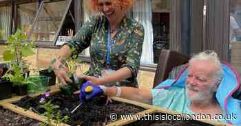 Stroke therapy garden at Homerton Hospital for patients