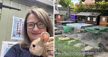 Croydon animal charity worker keeps 20 rabbits in garden