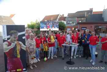 Supporters zien gymnast Luka Van den Keybus schitteren op Olympische Spelen: “Net geen finale, maar bijzonder trots op hem”