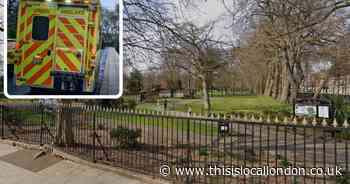 Plashet Park, Newham stabbing: Man dead and 2 teens injured