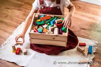 The law on leaving your child on their own and if it's ok to leave them with older siblings