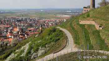 Neues Buch mit langem Titel: Saša Stanišić ergründet die großen Fragen des Lebens