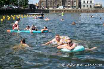Eerste zwemzondag in de schaduw van het MAS lokt meteen massa volk: “Welke Antwerpenaar droomt hier nu niet van?”