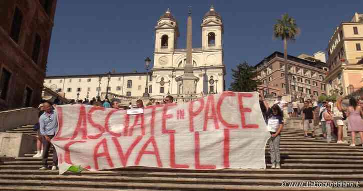 Blitz animalista in Piazza di Spagna contro le botticelle: “Cavalli trascinati in giro per Roma con caldo e smog. Basta sfruttamento”