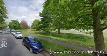 Sutton Rosehill Park: No updates after organs found