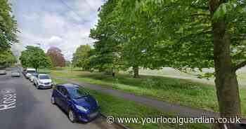 Sutton Rosehill Park: No updates after organs found