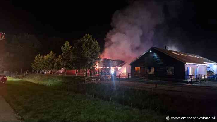 Zeewolde - Inzamelingsactie voor gedupeerden stalbrand: 'Ze waren trouwe vriendjes'