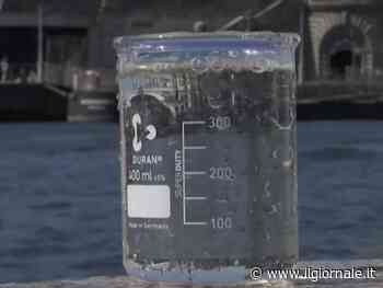 Senna inquinata, salta il Triathlon. Ira Paltrinieri: "È una presa in giro"