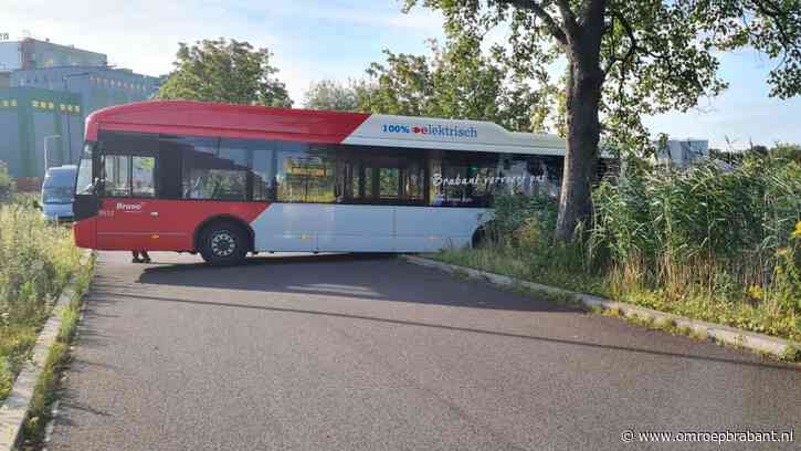 112-nieuws: bus rijdt bijna sloot in • bankstel in brand