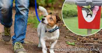 Sutton dog poo: Hundreds of complaints but few fines