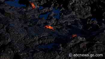 The Galapagos Islands and many of their unique creatures are at risk from warming waters