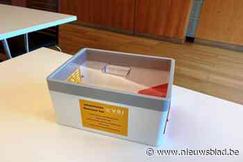 Gemeente plaatst vallen tegen de Aziatische hoornaar