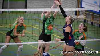 Compleet nieuwe selectie Vollingo