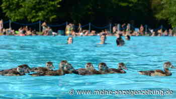 11.000 Quadratmeter Wasserfläche: Das ist Deutschlands größtes Freibad