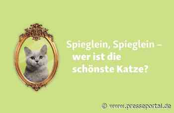 Weltkatzentag: Spektakuläre Fressnapf-Aktion geht weiter