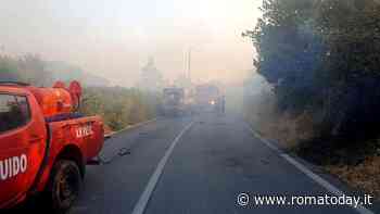 Incendi a Roma, dopo la notte di fuoco il grido d'aiuto dei pompieri: "Siamo in ginocchio"