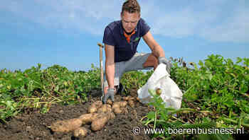Eerste proefrooicijfers tonen grote heterogeniteit