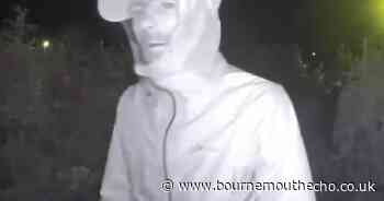 CCTV: Burglar steals woman's handbag while she sleeps