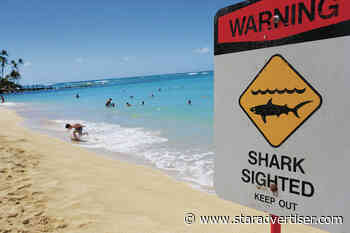 Despite the low risk, summer ramps up fear of shark encounters