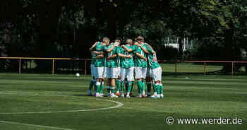 TSV Havelse - SV Werder Bremen II