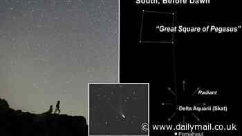 Delta Aquariids: Astronomers reveal the best time to watch the spectacular show from your area tonight